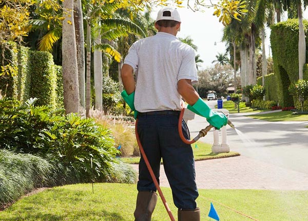 About Bartonsville PA Pest Control